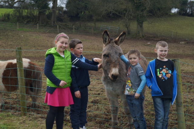  I bambini adorano passare il tempo con i nostri animali 